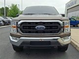 Certified 2021 Ford F150 XLT w/ Equipment Group 301A Mid image 4