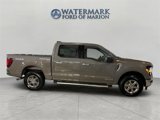New 2025 Ford F150 XLT w/ Equipment Group 301A Standard image 6
