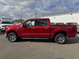 New 2025 Ford F150 XLT w/ Equipment Group 302A MID image 6