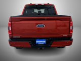 Used 2023 Ford F150 XLT w/ Equipment Group 302A High image 6