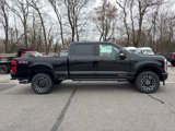 New 2025 Ford F350 Platinum image 2