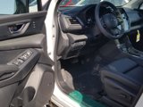 New 2025 Subaru Ascent Bronze Edition image 6