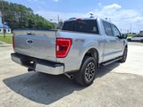 Used 2023 Ford F150 XLT w/ Equipment Group 302A High image 5