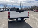 Used 2022 Ford F350 XLT image 4