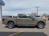 New 2025 Ford F150 XLT image 4