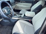 New 2025 Kia Carnival SX w/ SX Dark Edition Package image 4