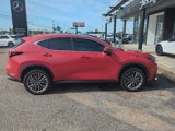 Used 2025 Lexus NX 350 AWD w/ Luxury Package image 4