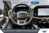 Certified 2024 Ford F150 XLT w/ Equipment Group 302A MID image 5
