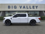 New 2025 Ford F150 XLT w/ Equipment Group 303A High image 3