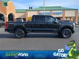 New 2025 Ford F250 Platinum image 4