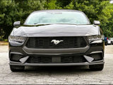 Used 2025 Ford Mustang Premium image 6