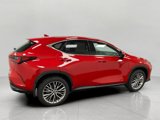 Certified 2025 Lexus NX 350 AWD w/ Premium Package image 2