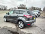 Used 2016 Ford Escape SE w/ SE Cold Weather Package image 6