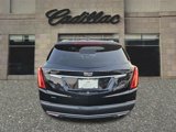 Used 2022 Cadillac XT5 Premium Luxury image 4