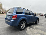 Used 2009 Ford Escape XLT image 4
