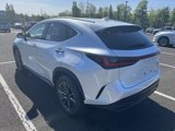 New 2025 Lexus NX 350h AWD w/ Premium Package image 2