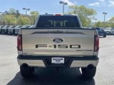 New 2025 Ford F150 Lariat w/ Equipment Group 502A High image 5