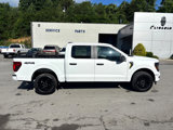 New 2025 Ford F150 STX image 6