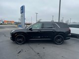 New 2025 Hyundai Palisade Calligraphy image 4