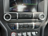 Used 2023 Ford Mustang GT Premium w/ Equipment Group 401A image 5