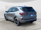New 2025 Ford Escape ST-Line Elite w/ Class II Trailer Tow Package image 3
