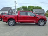 New 2025 Ford F150 Lariat image 6