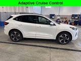 Certified 2024 Ford Escape ST-Line Elite image 2