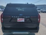 New 2025 Ford Expedition Platinum w/ Platinum Ultimate Package image 6