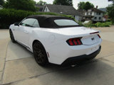 Used 2024 Ford Mustang GT Premium w/ GT Performance Package image 6