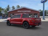 New 2025 Ford F150 XLT w/ Equipment Group 303A High image 4
