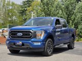Used 2023 Ford F150 XLT w/ Equipment Group 302A High image 4