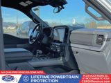New 2025 Ford F150 XLT w/ Equipment Group 302A MID image 3