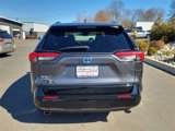 Used 2022 Toyota RAV4 SE image 5