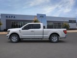 New 2025 Ford F150 XLT w/ Equipment Group 301A Standard image 3