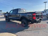 New 2025 Ford F250 Platinum image 2