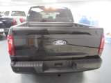 New 2025 Ford F150 STX w/ Equipment Group 200A image 4