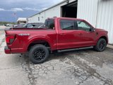 New 2025 Ford F150 XLT w/ Equipment Group 302A MID image 5