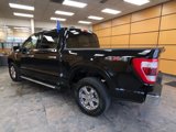 Certified 2023 Ford F150 Lariat image 5