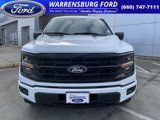 New 2025 Ford F150 XLT w/ Equipment Group 303A High image 2