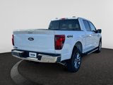 New 2025 Ford F150 XLT w/ Equipment Group 302A MID image 4