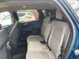 Used 2020 Ford Escape SE image 5