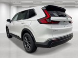 New 2026 Honda CR-V EX-L image 3