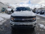 New 2025 Ford F150 XLT w/ Equipment Group 303A High image 4