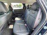 New 2025 Hyundai Tucson Limited image 5
