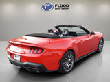 Used 2024 Ford Mustang Premium image 4