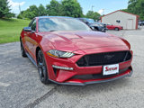 Used 2022 Ford Mustang GT w/ Equipment Group 301A image 3