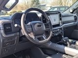 New 2025 Ford F150 XLT w/ Equipment Group 303A High image 5