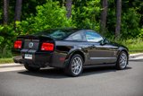 Used 2008 Ford Mustang Shelby GT500 image 4