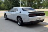Used 2021 Dodge Challenger SXT w/ Blacktop Package image 3