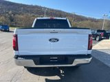 New 2025 Ford F150 XLT w/ Equipment Group 302A MID image 6
